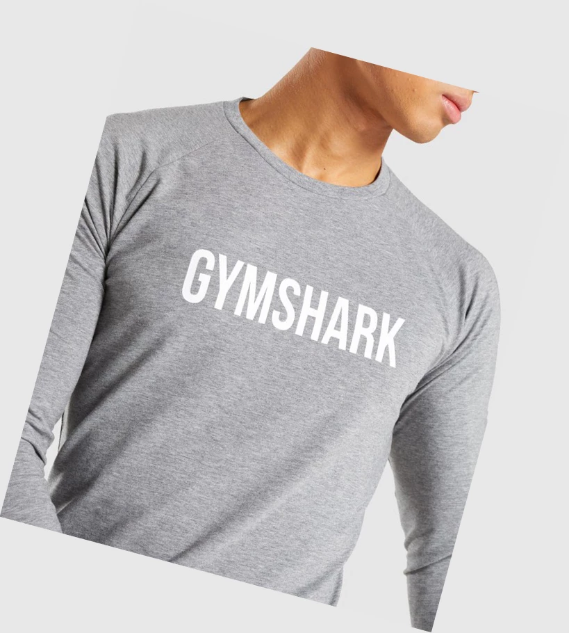 Panske Oblecenie Gymshark Zlavy - Mikiny Gymshark Apollo Long